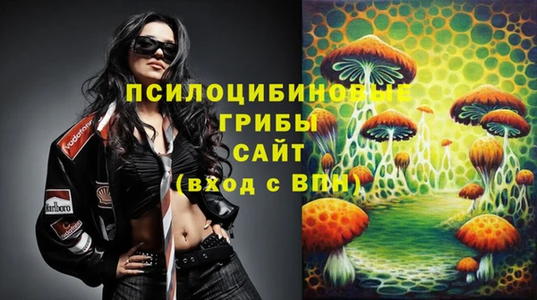 мдпв Лабытнанги