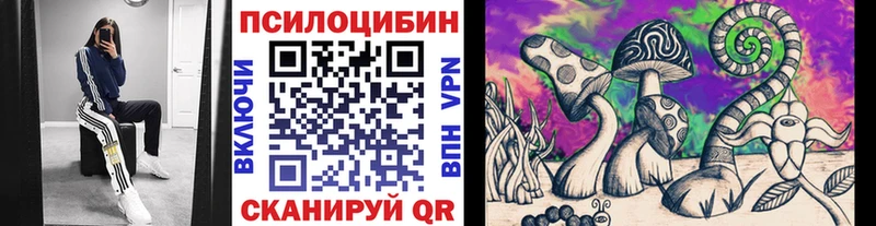 дарнет шоп  Надым  гидра маркетплейс  Галлюциногенные грибы прущие грибы 