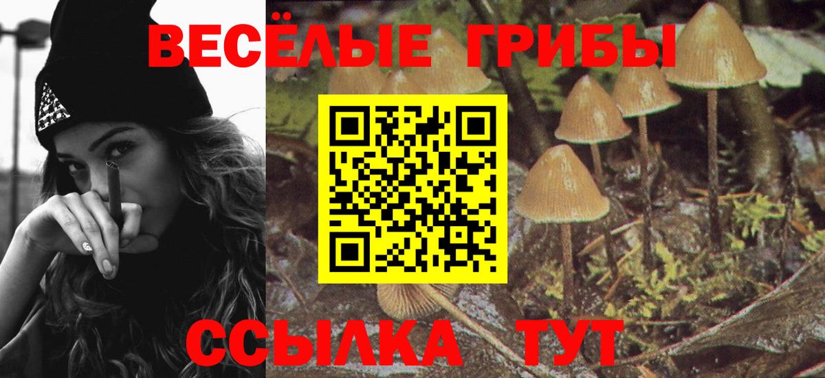 Псилоцибиновые грибы GOLDEN TEACHER Надым